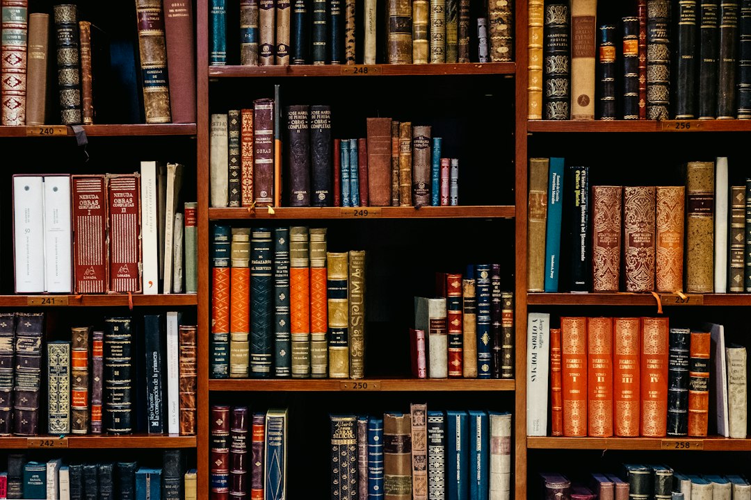 Roman-Genres im Überblick: Welcher Roman passt zu dir?